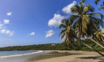 Best Beaches to Visit on a Grenada Vacation